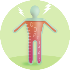 A stressed person’s body acts like a measuring cup that fills
                up with cortisol.